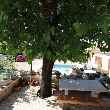 Apartments Vesna With Pool - New! Sveti Lovreč Pazenatički エクステリア 写真